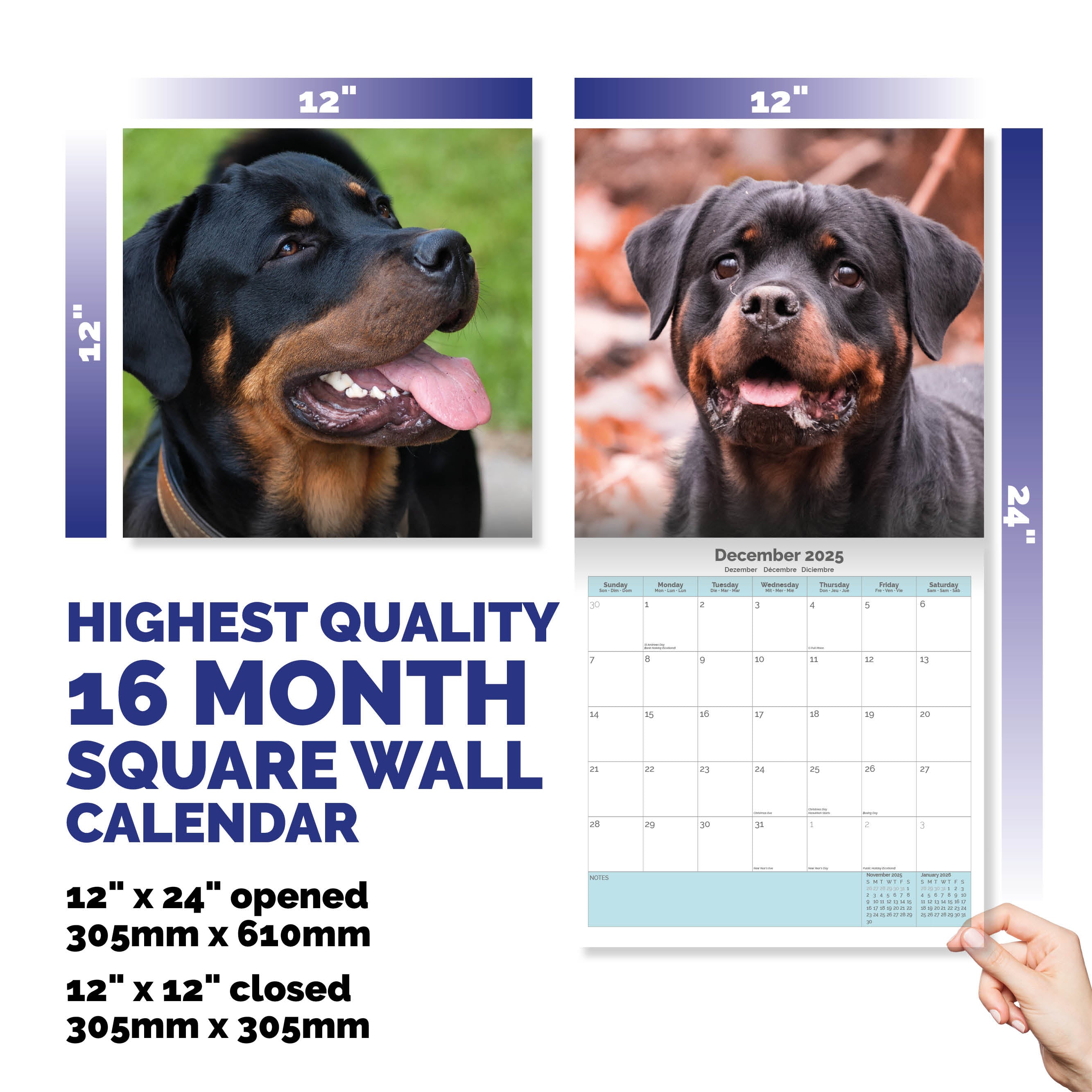 Rottweiler Calendar 2025