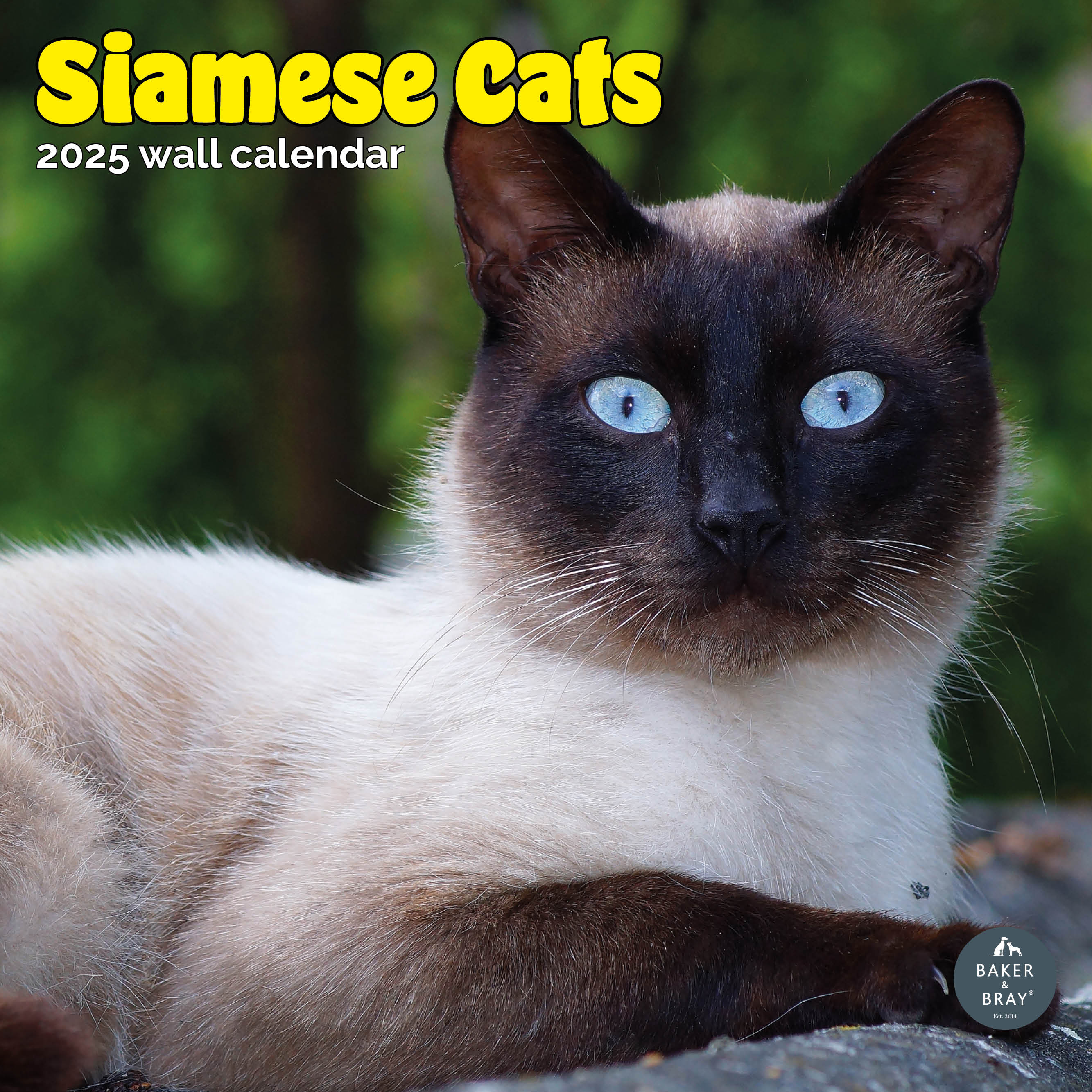 Siamese Cats Calendar 2025
