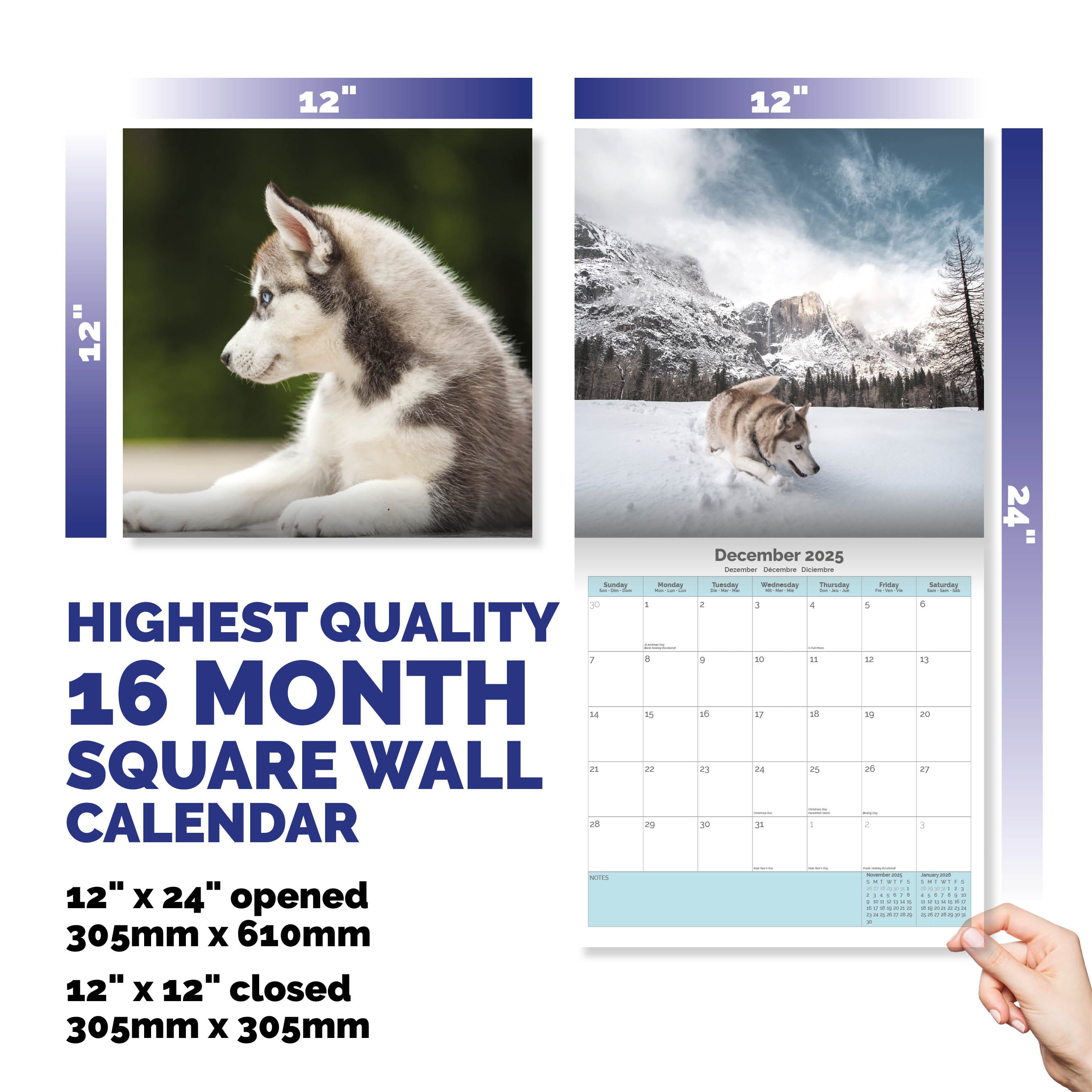 Siberian Husky Calendar 2025