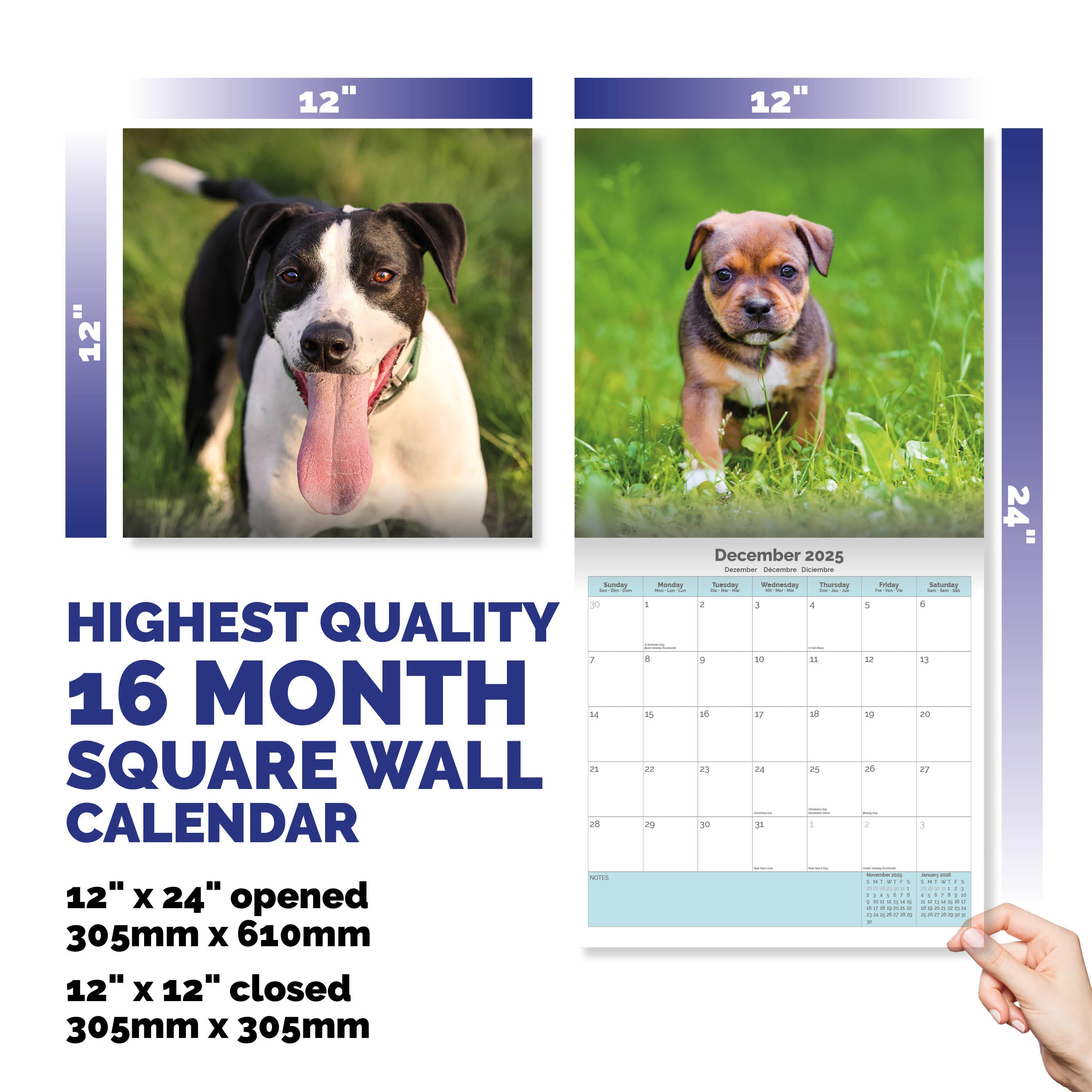 Staffordshire Bull Terrier Calendar 2025