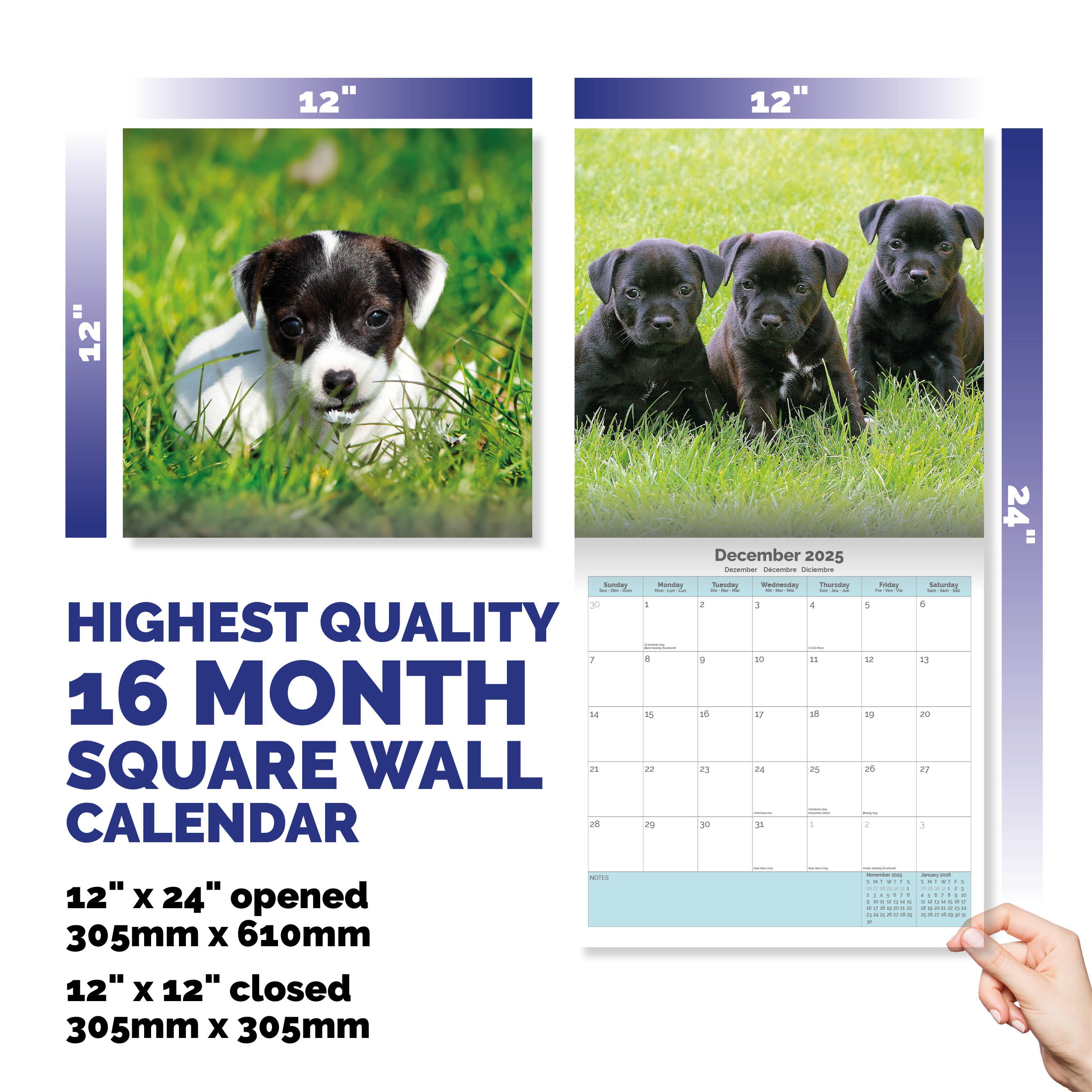 Staffordshire Bull Terrier Puppies Calendar 2025