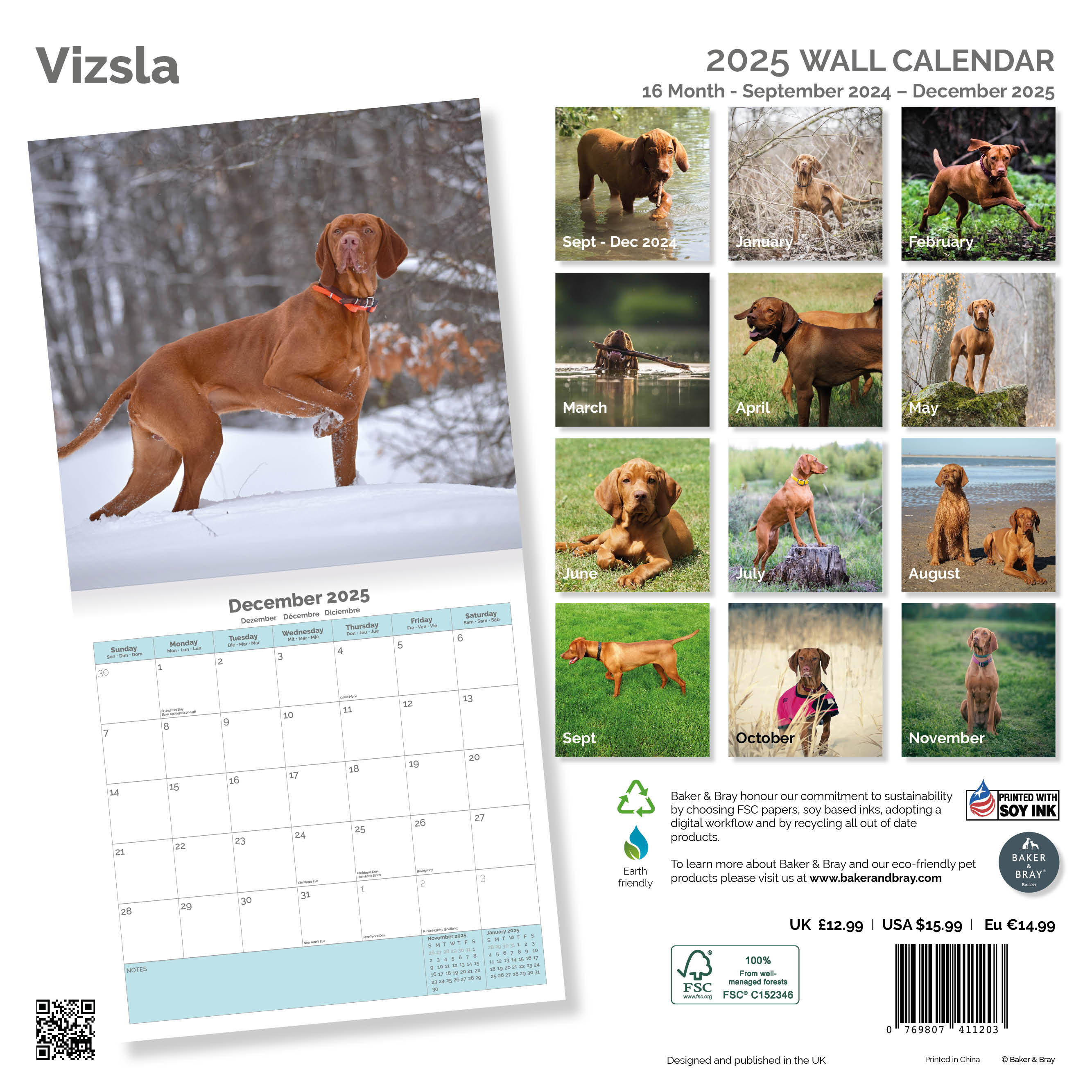 Vizsla Calendar 2025