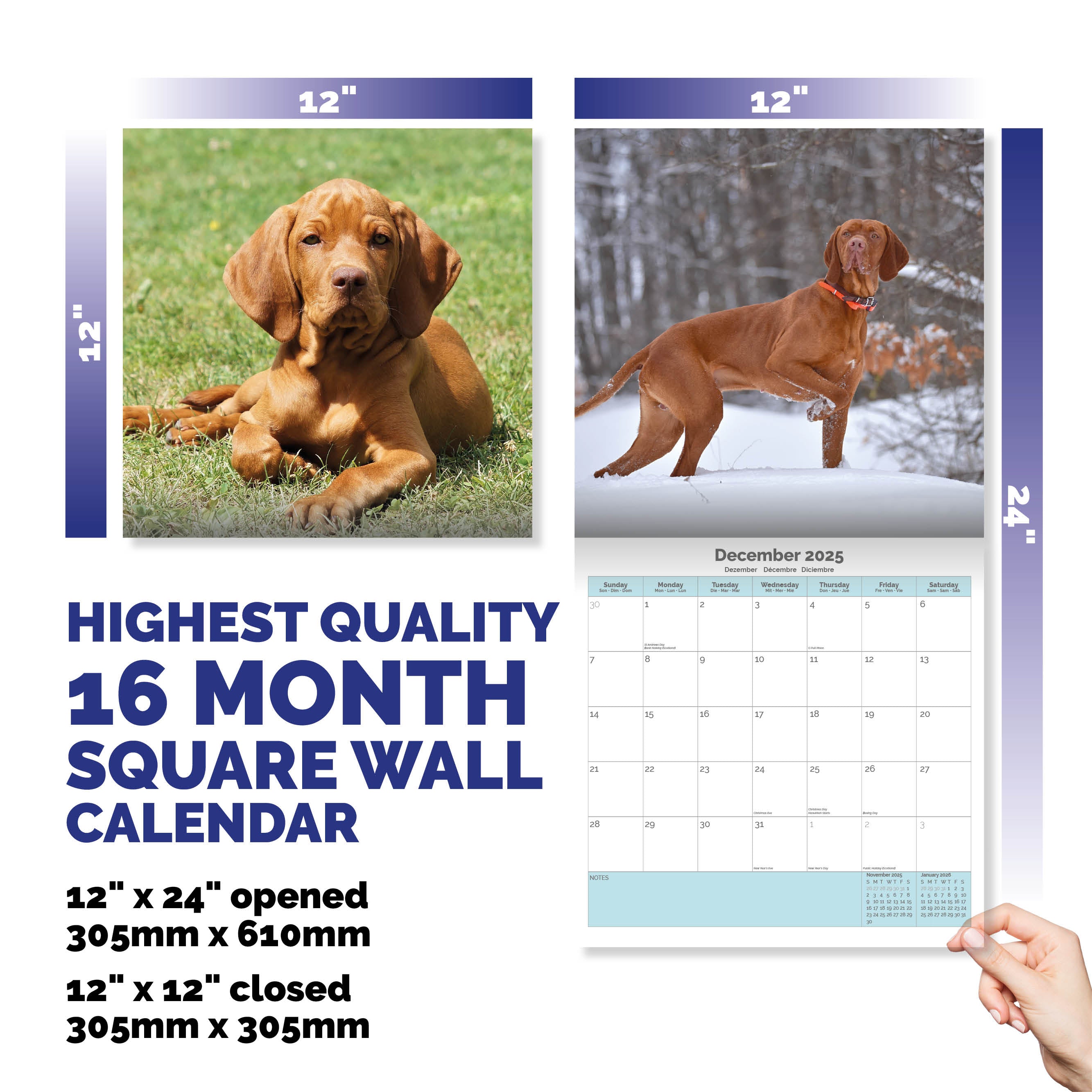 Vizsla Calendar 2025