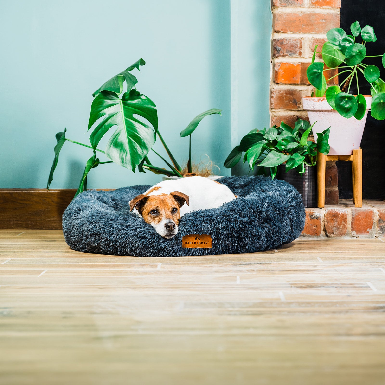 Donut Dog Bed Eco Friendly Luxury Calming Donut Dog Bed Charcoal