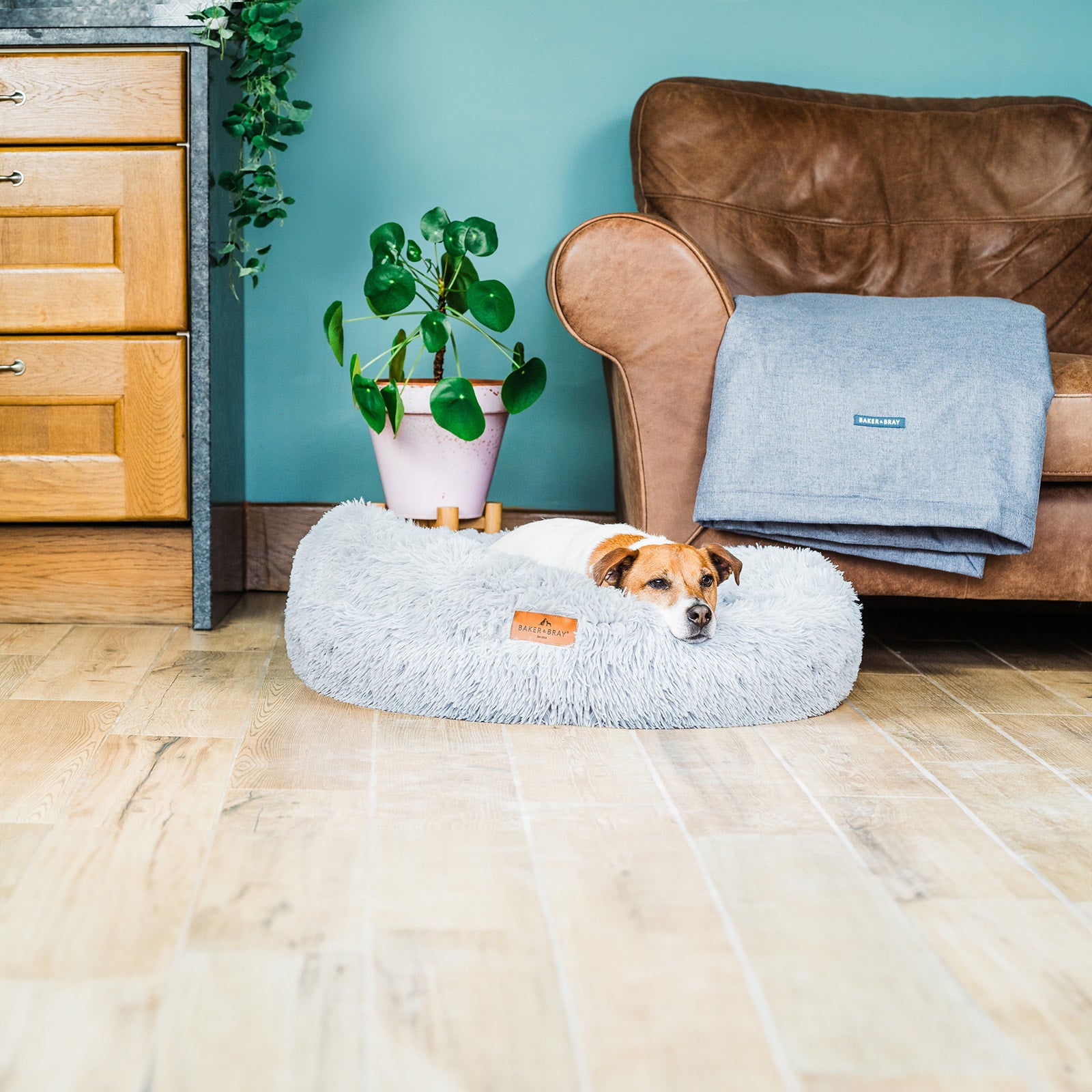Eco Friendly Luxury Calming Donut Dog Bed, Light Grey