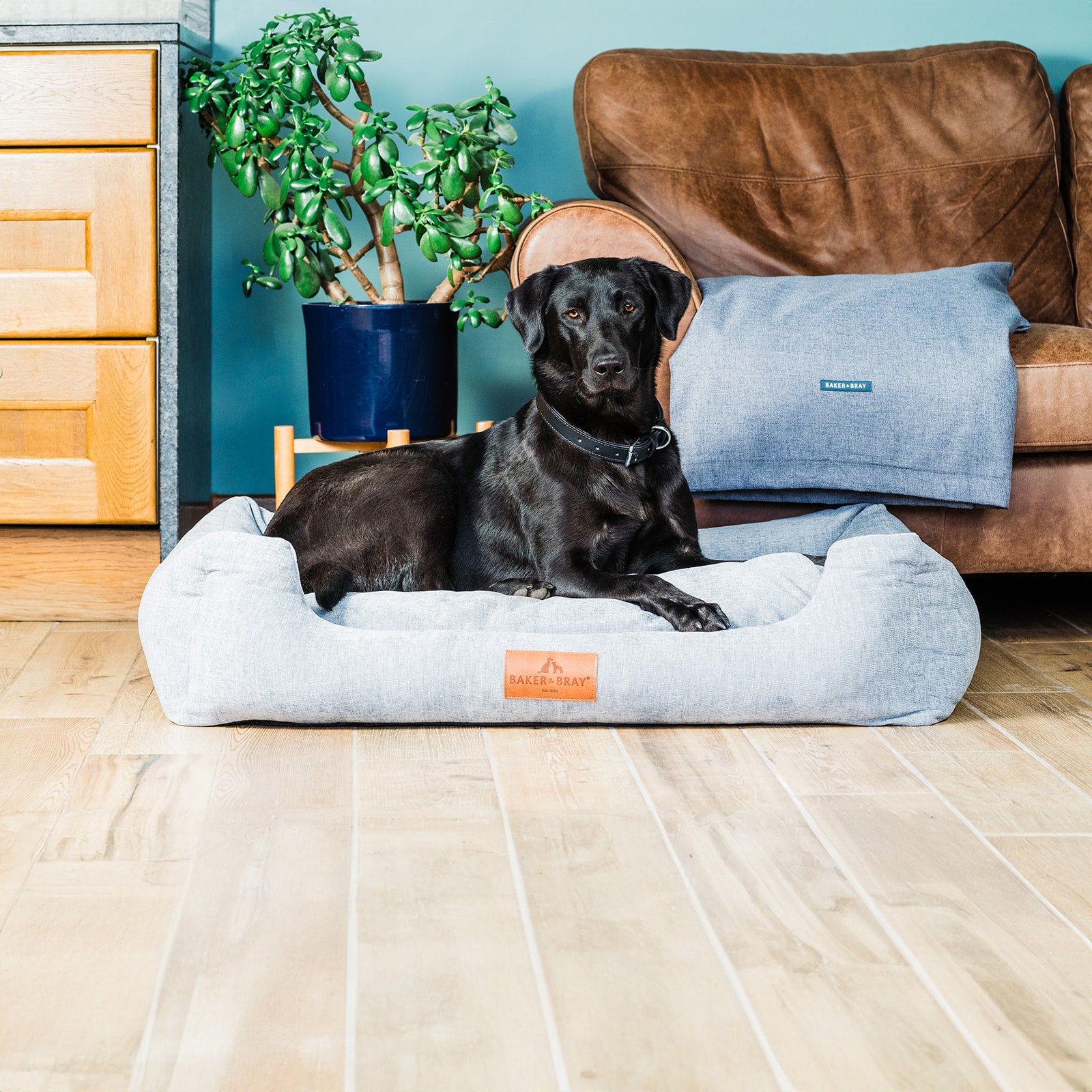 Eco Luxe Orthopaedic Luxury Dog Bed, Stone Grey